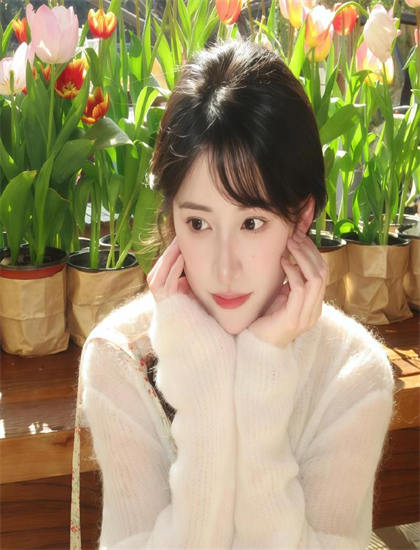 《致命少女姬》高潮解析：戏剧冲突与情感爆发，口碑佳作